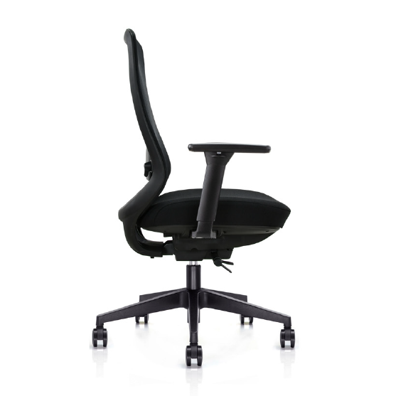 Demeter mid back ergonomic chair "buyers choice award"