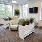 Planters - Office context A [AI office context]