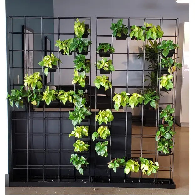 Indoor Planter - Brant Business Interiors