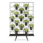 Indoor Planter - Studio white background [AI office context]