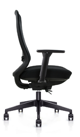 Demeter mid back ergonomic chair "buyers choice award"