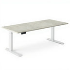 Electric Height Adjustable Sit to Stand Desks - Studio white background [AI office context]