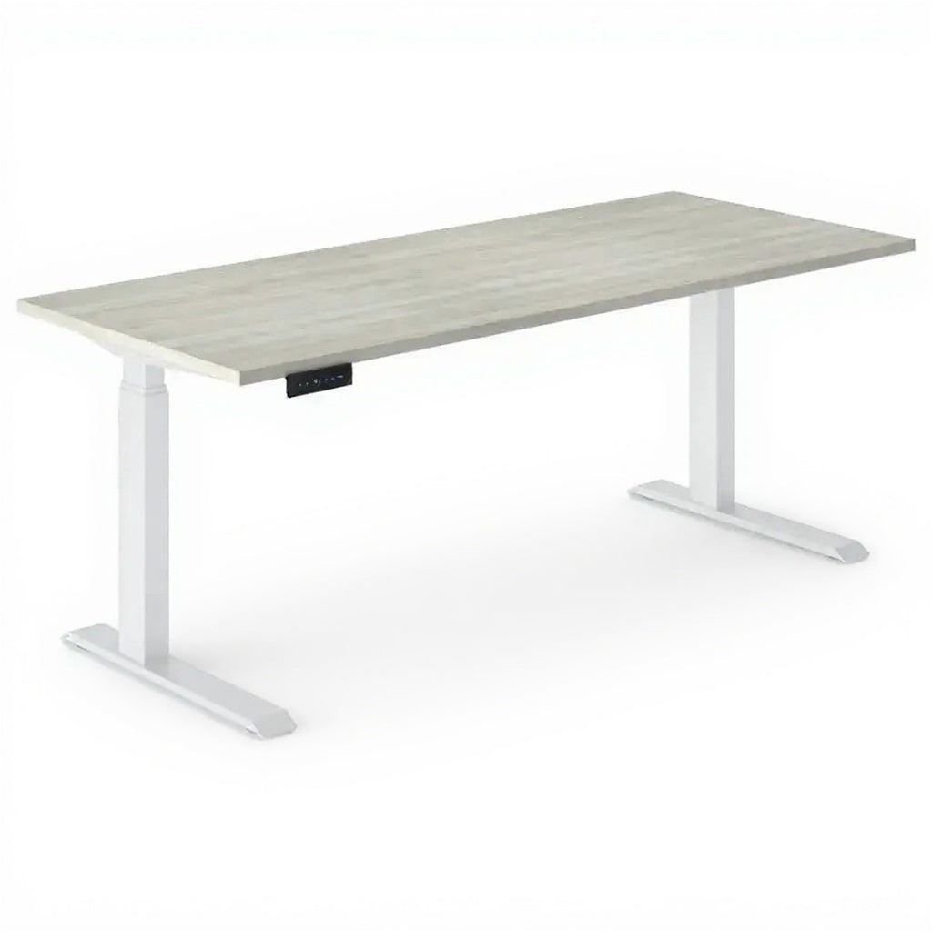 Electric Height Adjustable Sit to Stand Desks - Studio white background [AI office context]