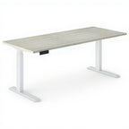 Electric Height Adjustable Sit to Stand Desks - Studio white background [AI office context]