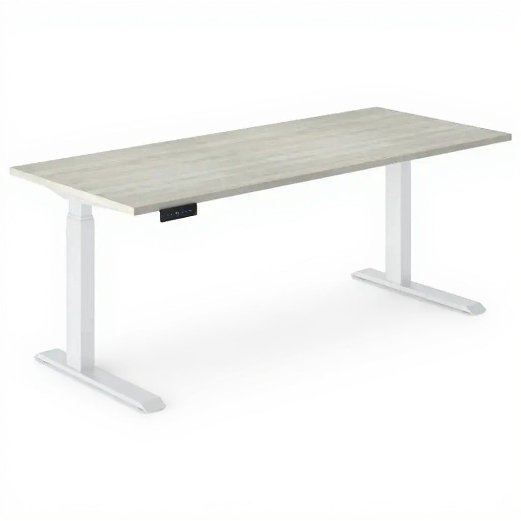 Electric Height Adjustable Sit to Stand Desks - Studio white background [AI office context]