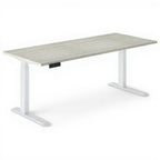 Electric Height Adjustable Sit to Stand Desks - Studio white background [AI office context]